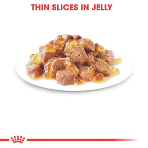 Royal Canin Cat Sterilised Adult Jelly Wet Cat Food