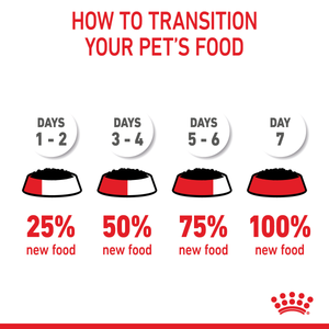 Royal Canin Kitten Chunks in Gravy wet cat food – food transition guide