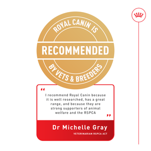 Royal Canin Cat Adult Instinct Gravy wet cat food – vet recommendation panel