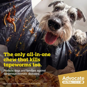 Advocate Ultra Chew Medium 5.5-11Kg Orange