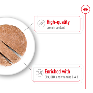 Royal Canin Medium Ageing wet dog food – lifestyle photo