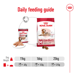 Royal Canin Medium Ageing wet dog food – lifestyle photo