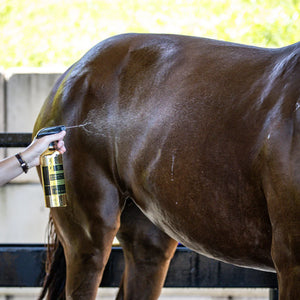 Hairy Pony Pre-Mixed Essential Oil Coat Conditioner