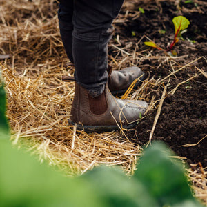 Person wearing Blundstone Boots 630 Series walking through a garden with plants and straw on the ground.