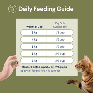 Advance Dry Cat Adult Hairball Chicken