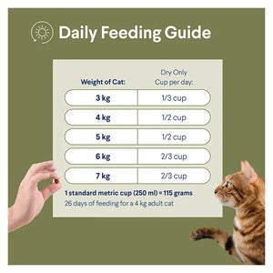 Advance Dry Cat Healthy Weight Chicken