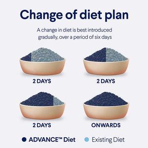 Advance Dry Cat Triple Action Dental Chicken