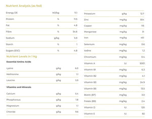 Benchmark Perfect Mash