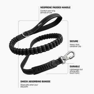 Dog Friendly Co Bungee Dog Leash