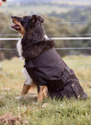 Nullarbor Oilskin Dog Coat 25cm
