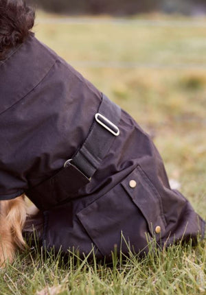 Nullarbor Oilskin Dog Coat 25cm