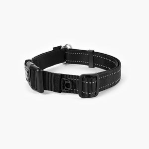 EzyDog Collar Checkmate