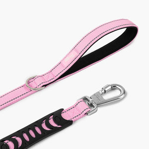 Dog Friendly Co Classic Dog Leash