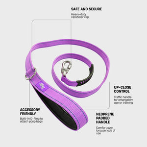 Dog Friendly Co Classic Dog Leash
