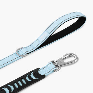 Dog Friendly Co Classic Dog Leash