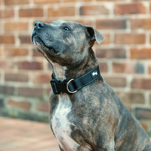 Dog Friendly Co Tactical Dog Collar