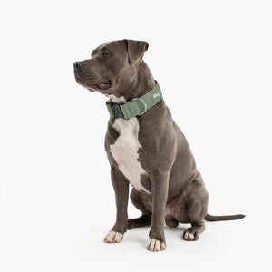 Dog Friendly Co Tactical Dog Collar