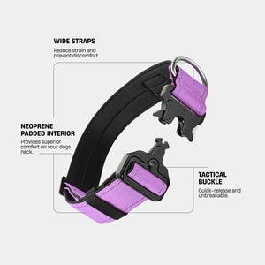 Dog Friendly Co Tactical Dog Collar