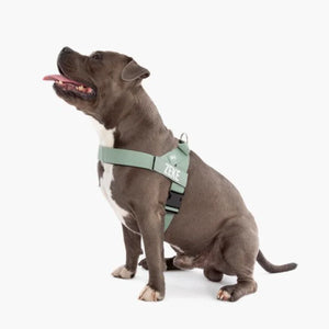 Dog Friendly Co Dog Harness