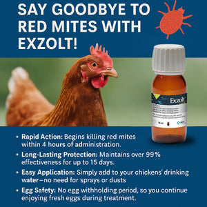 MSD Exzolt Red Mite Treatment For Chickens