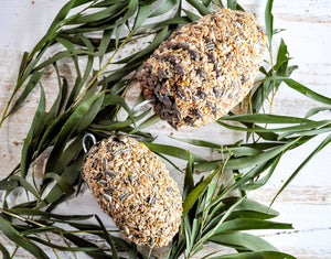 Forage Pinecone Bird Treat