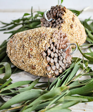 Forage Pinecone Bird Treat