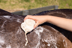 Hairy Pony Eco-Friendly Original Shampoo Bar