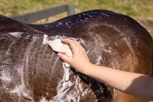 Hairy Pony Eco-Friendly Original Shampoo Bar