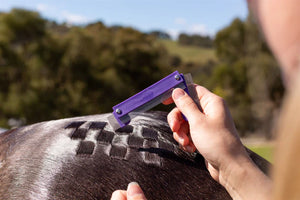 Hairy Pony Quarter Mark Spray