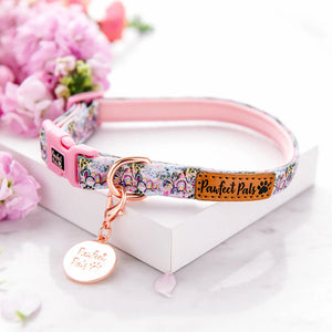 Soft Dog Collar Got it Glowing On - Boho Glow
