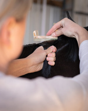Hairy Pony Mane Sectioning Comb
