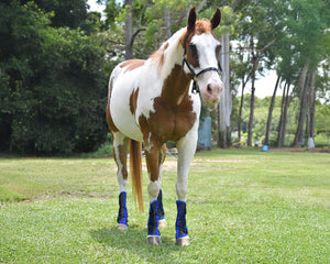Horsemaster Fly Boots - 4