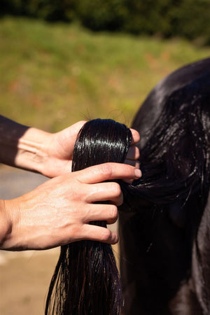 Hairy Pony Hair Repair