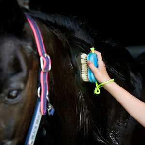 Hairy Pony Kids Wash Bay Kit