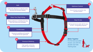 Halti Front Control Dog Harness