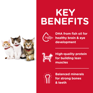 Hills Science Diet Kitten Dry Food