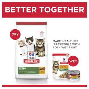 Hills Science Diet Kitten Dry Food
