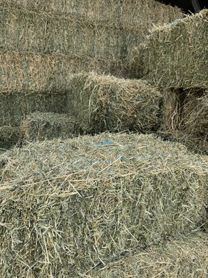 Grassy Lucerne 50/50