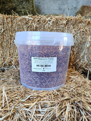 Happy Healthy Hens Mealworm Frenzy