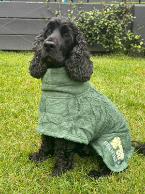 Brookies Dog Robe