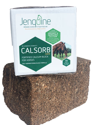 Jenquine Calsorb Forte