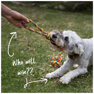Kazoo Braided Rope Sling Knot Ball Dog Toy