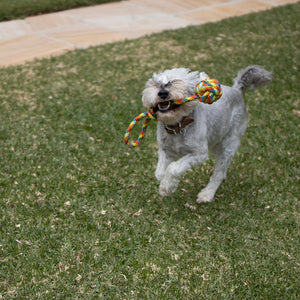 Kazoo Braided Rope Sling Knot Ball Dog Toy