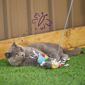 Kazoo Butterfly High Wand Cat Toy