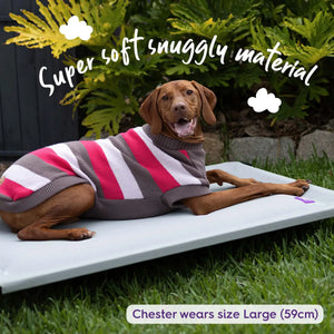 Kazoo Chestie Jumper