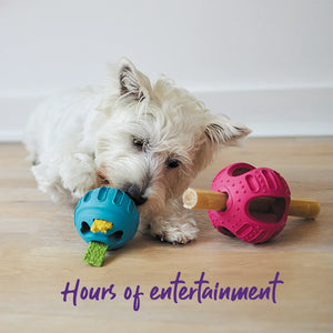 Kazoo Chew and Treat Enrichment Ball Dog Toy