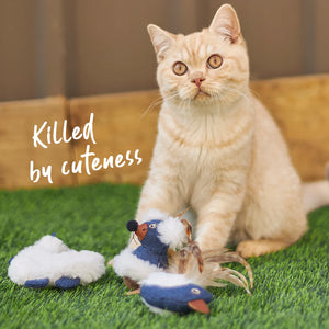 Kazoo Chirpy Bird Cat Toy