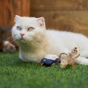 Kazoo Chirpy Bird Cat Toy