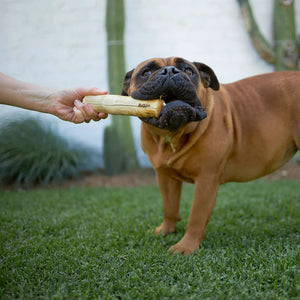 Kazoo Coffee Wood Chew Dog Toy