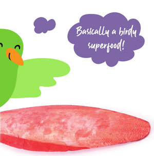 Kazoo Cuttlebone Lime and Chilli